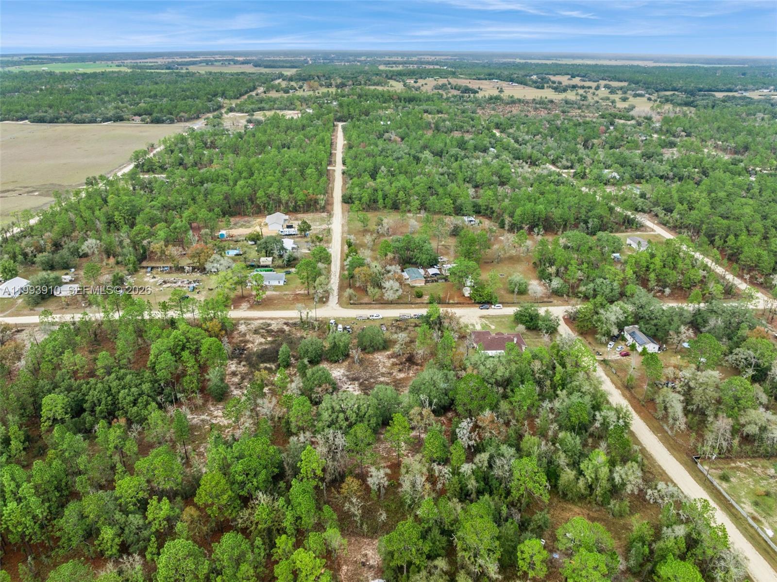 14170 Se 4th St Williston, FL 32696