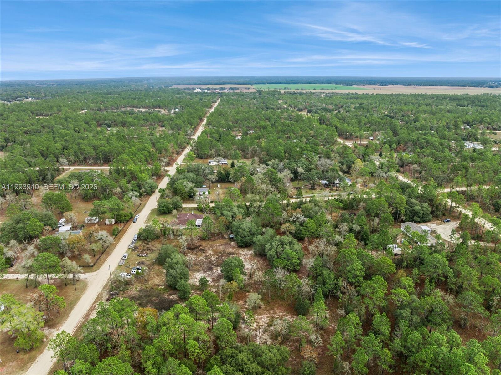 14170 Se 4th St Williston, FL 32696