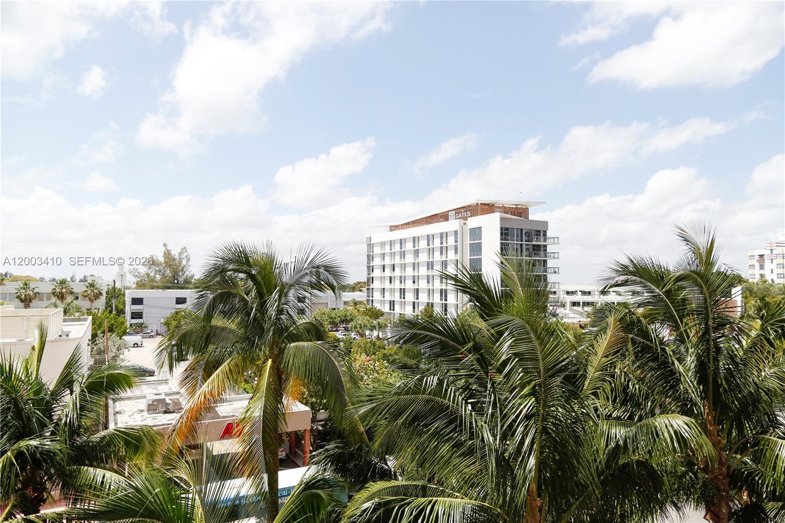 image Roney Palace27