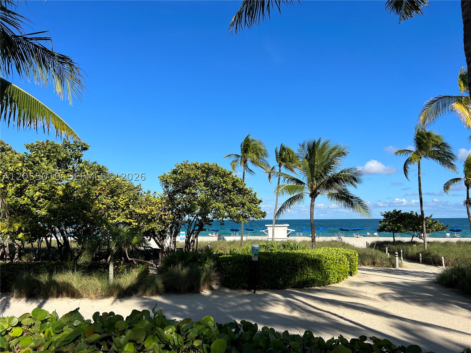 image Harbour House55