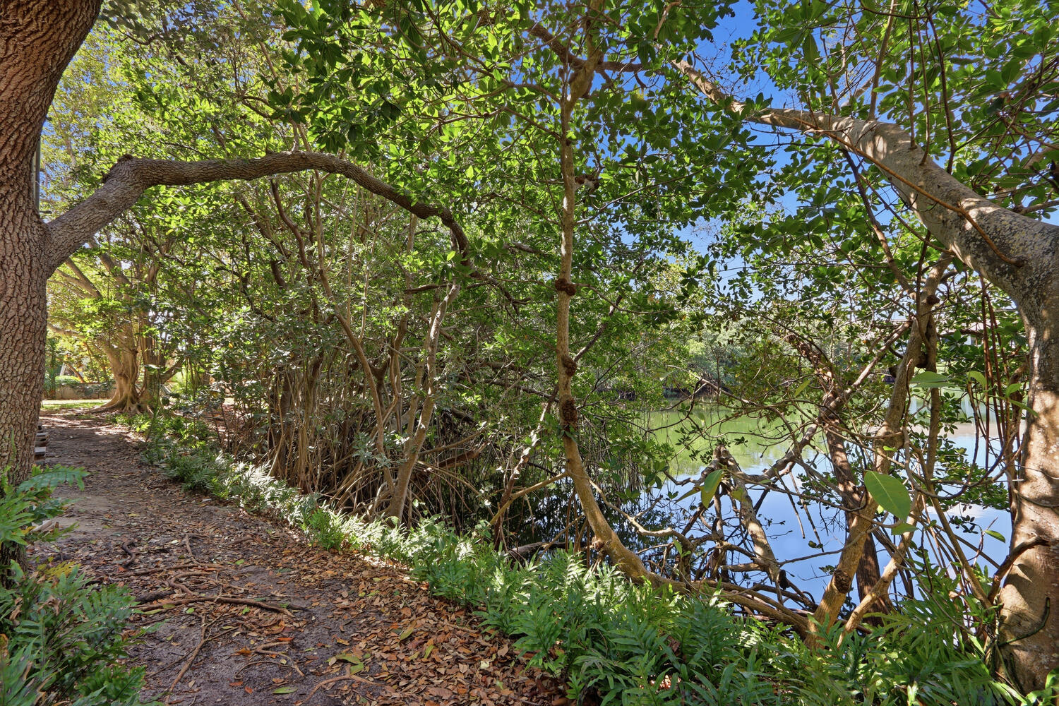 500 Ocean Trl #409 Jupiter, FL 33477