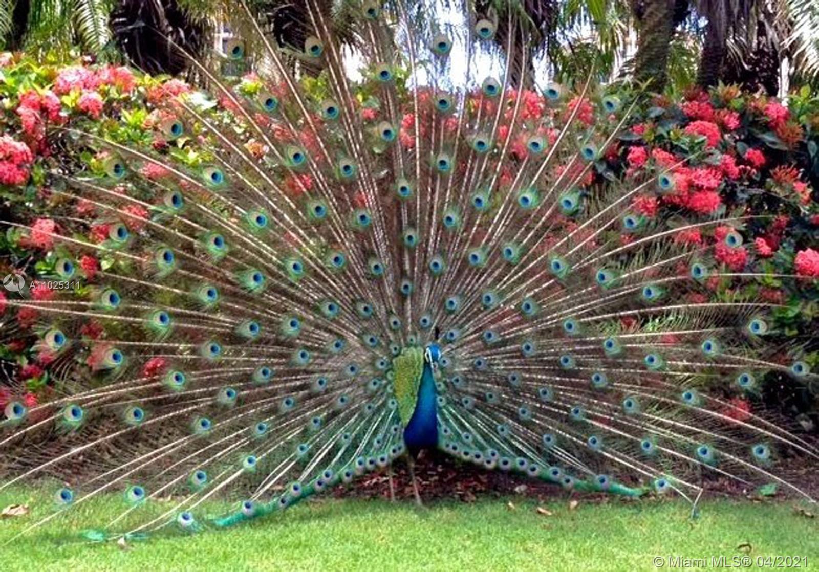 13611 Deering Bay Dr #801 Coral Gables, FL 33158