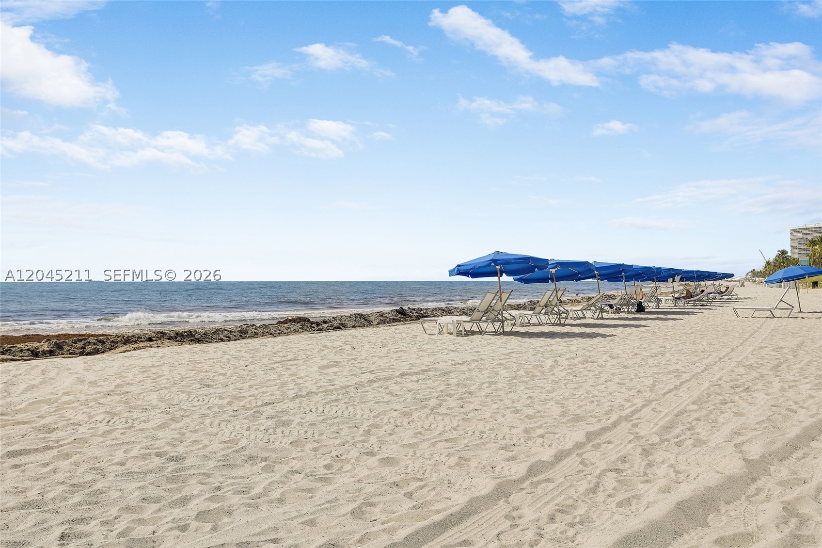 10275 Collins Ave #201
