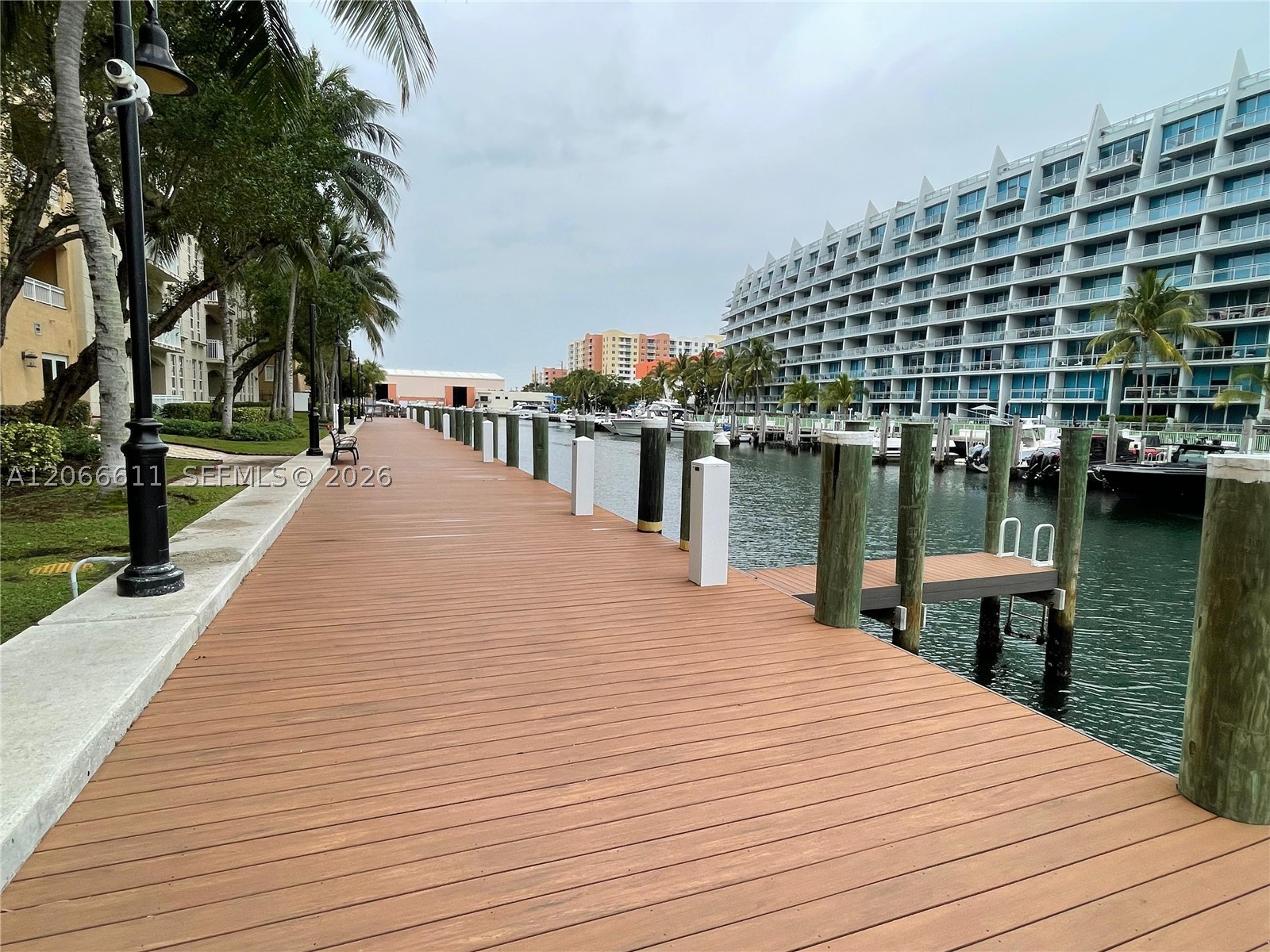 image Alaqua36