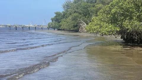 18200 49th Ter Jupiter, FL 33458