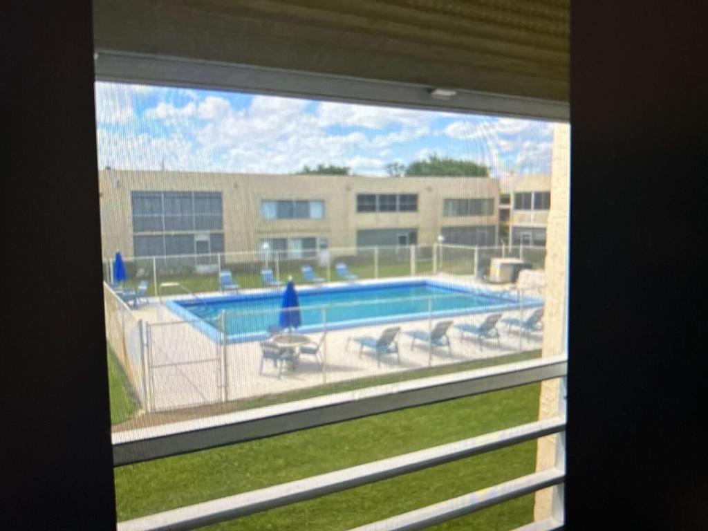 3212 Strawflower #206