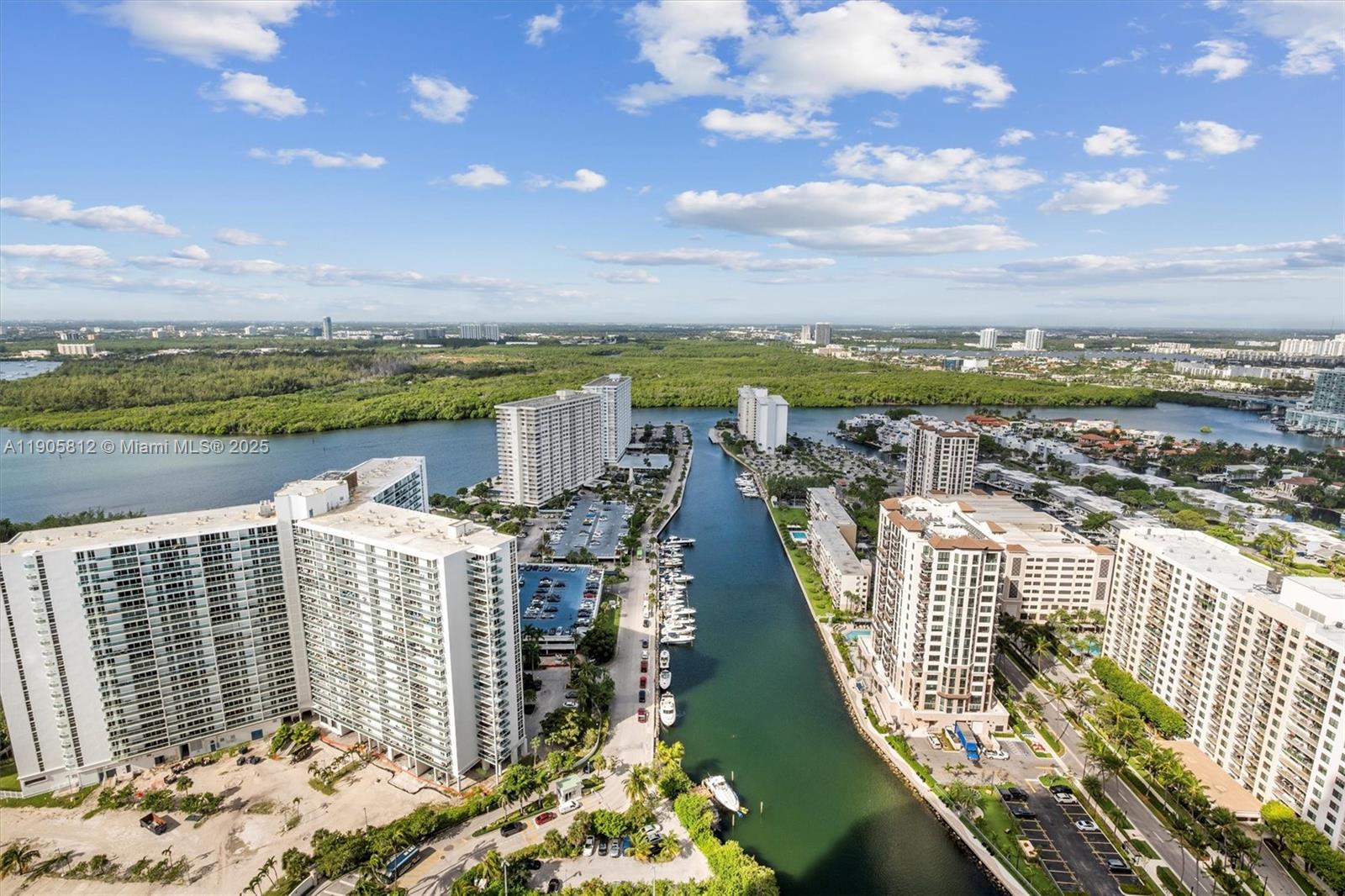 image Trump Royale53