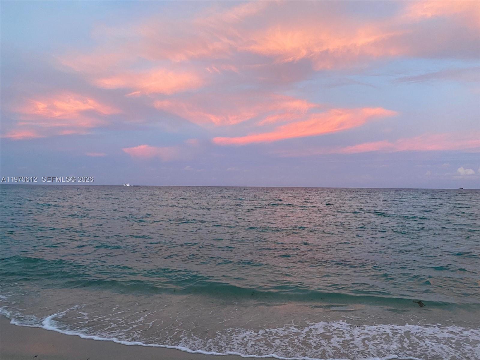 image Roney Palace31