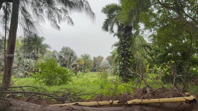 5100 SW 64th Ave #202 Davie, FL 33314