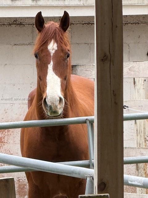 5100 SW 64th Ave #202 Davie, FL 33314