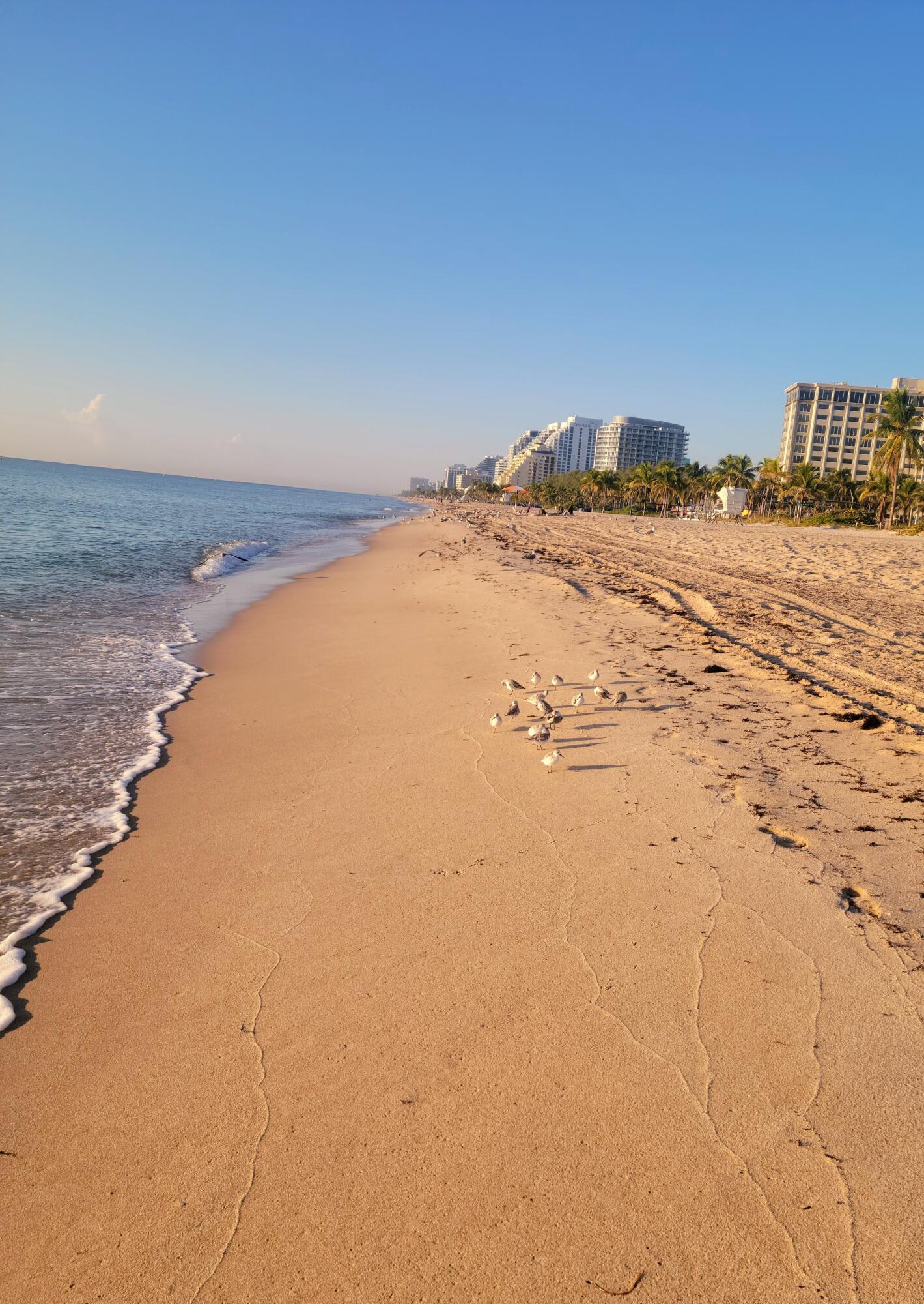 2715 N Ocean Blvd #16B Fort Lauderdale, FL 33308