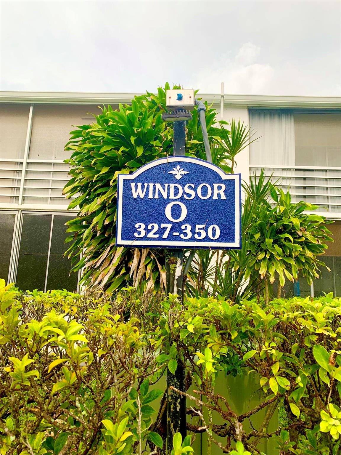 336 Windsor O