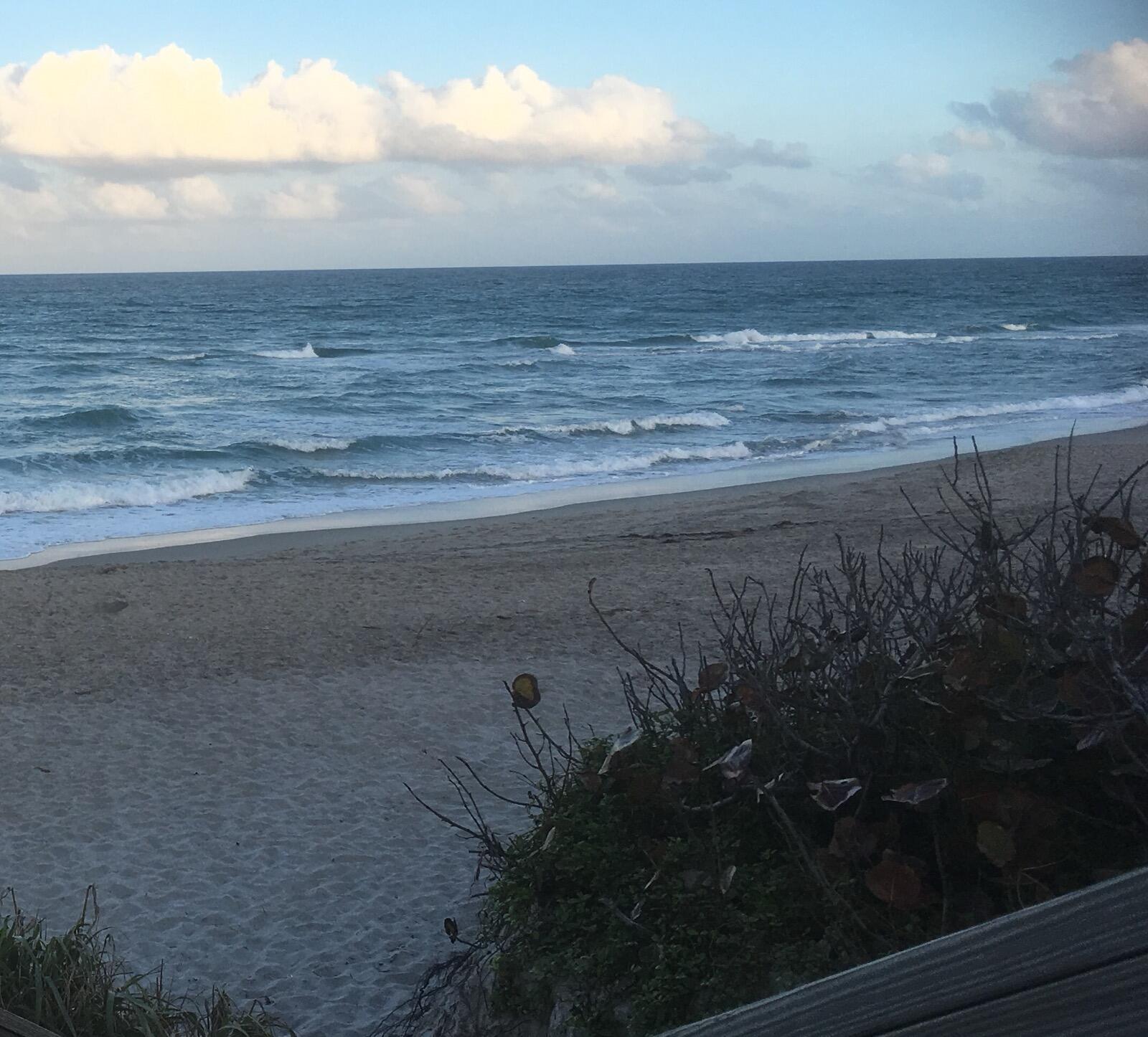 1605 S Us Hwy 1 #F204 Jupiter, FL 33477