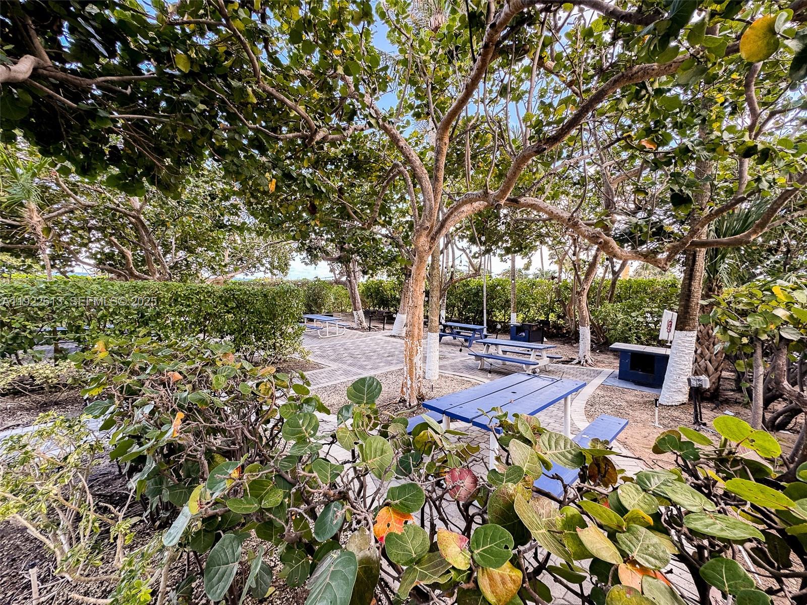 8877 Collins Ave #809 Surfside, FL 33154