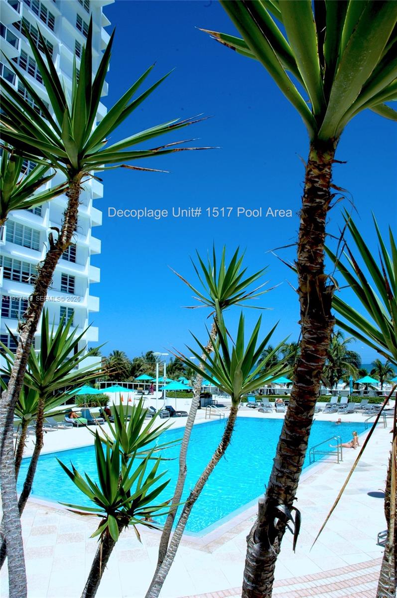 image The Decoplage13