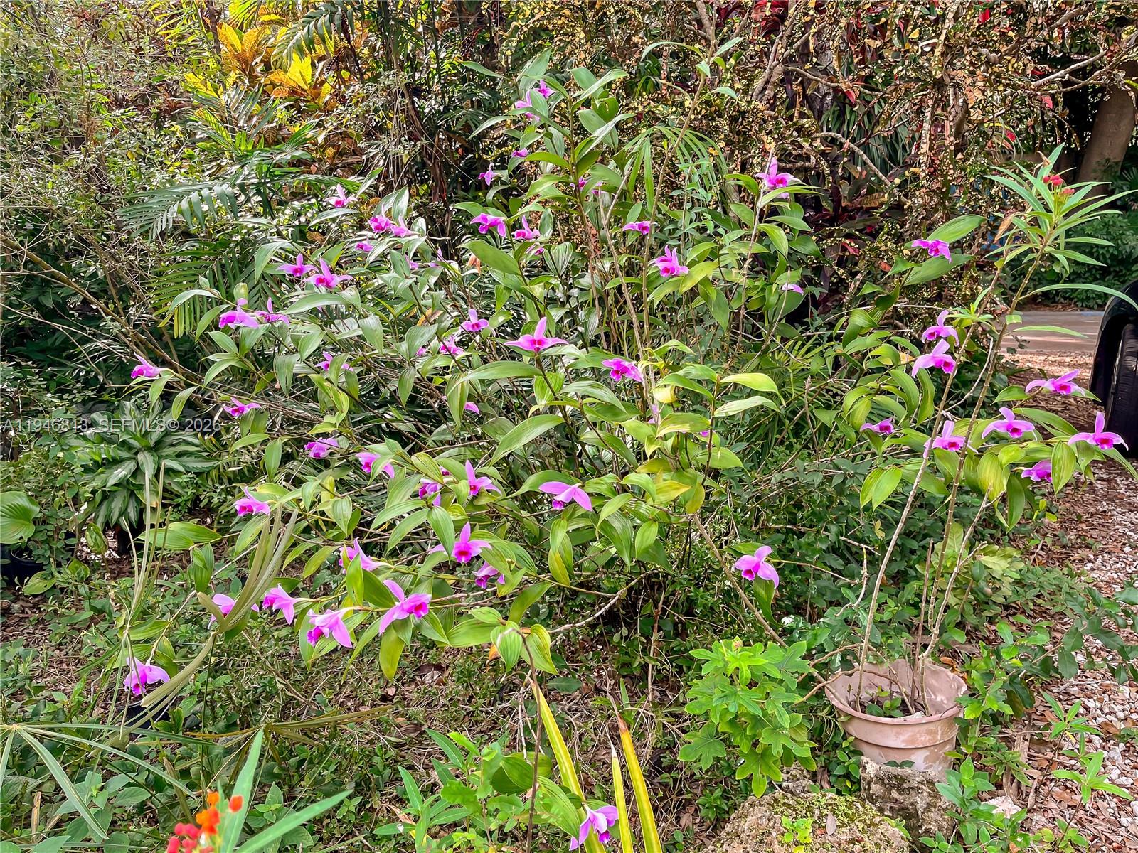 3835 Utopia Ct Miami, FL 33133