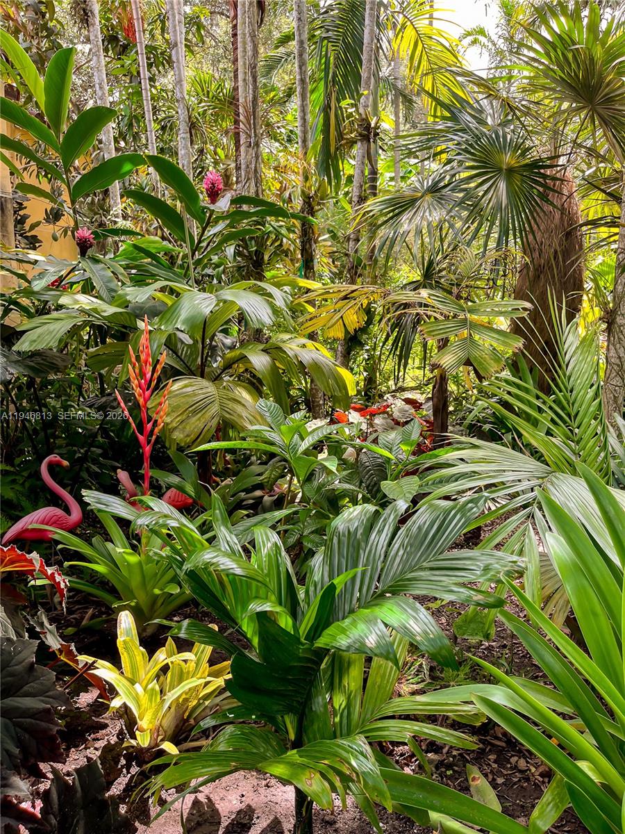 3835 Utopia Ct Miami, FL 33133