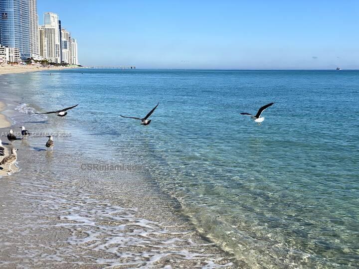 17550 Collins Ave #1202 Sunny Isles Beach, FL 33160