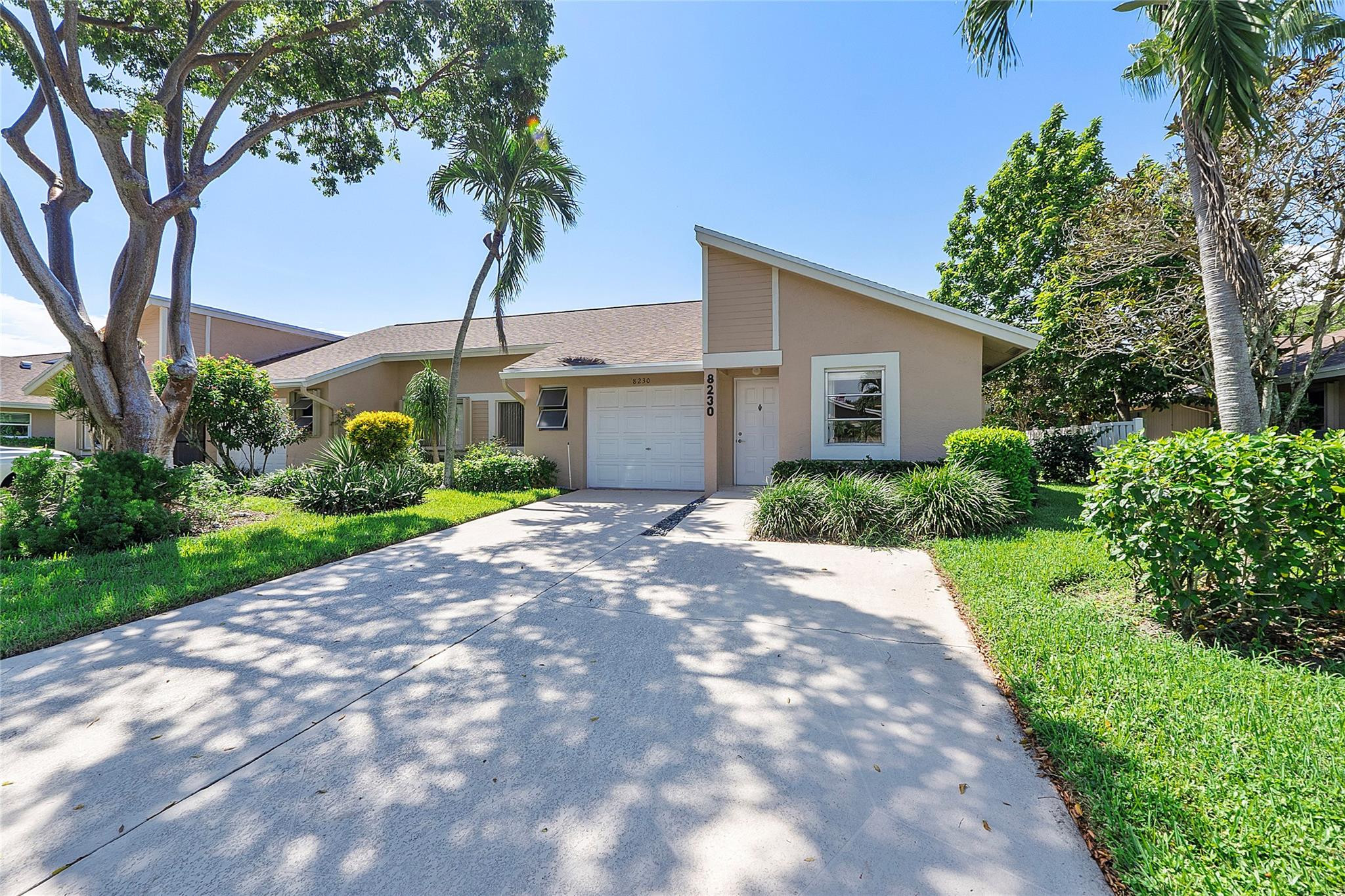 8230 Springtree
