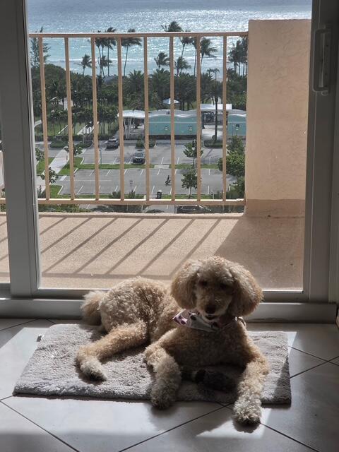 image Prince George19