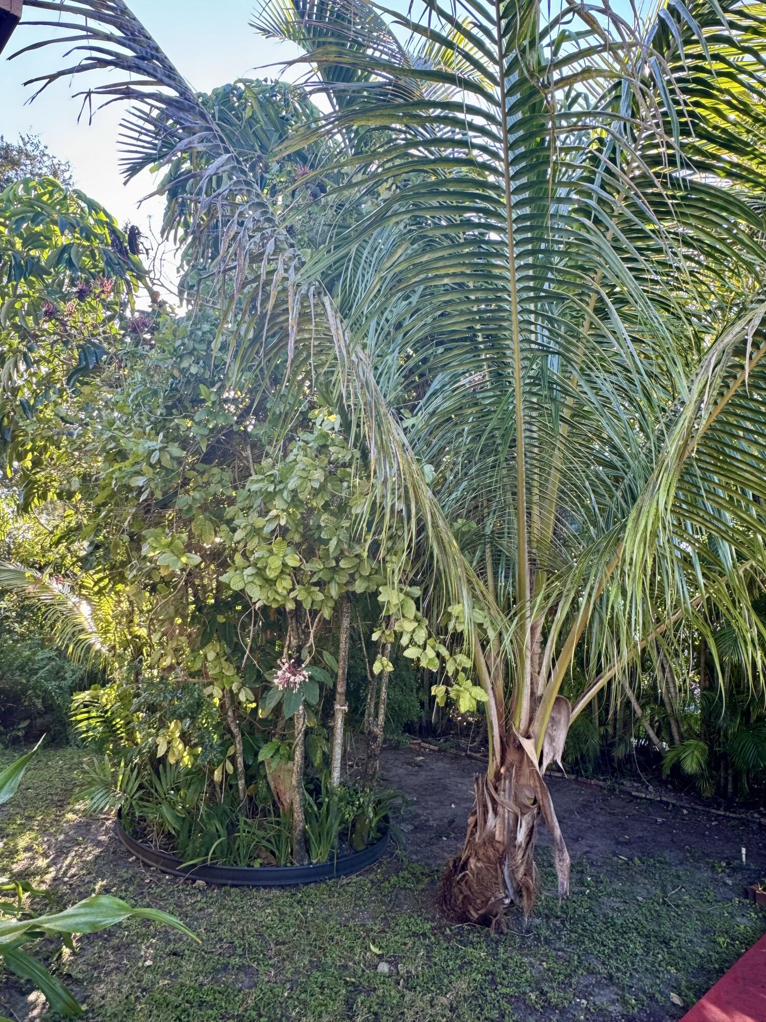 5000 SW 5th Miami, FL 33134