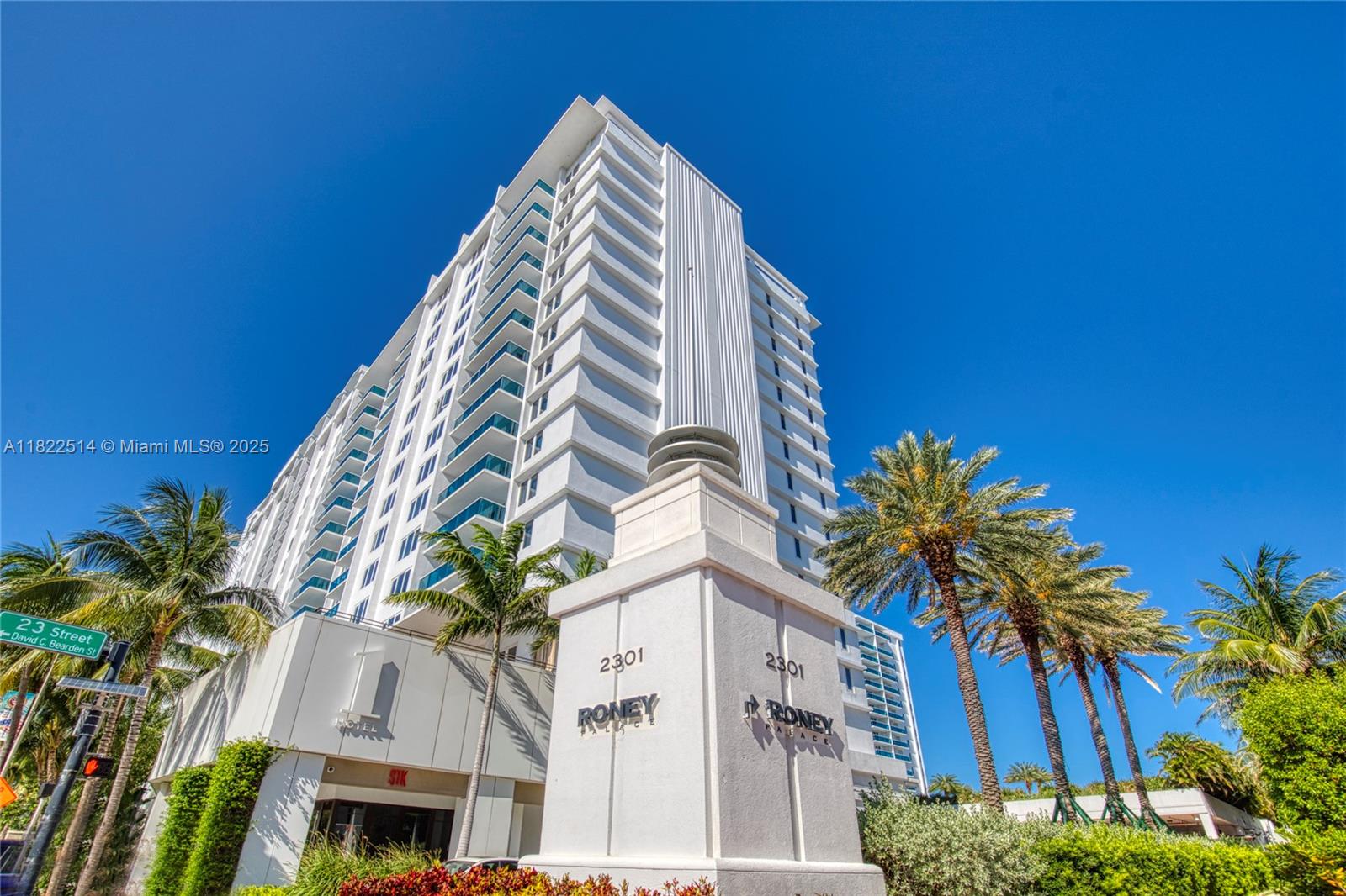 image Roney Palace46