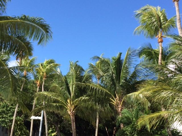 Undisclosed Address Miami, FL 33138