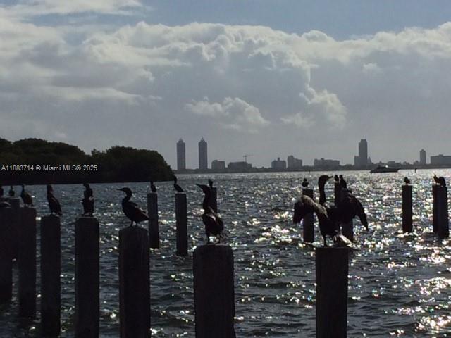 Undisclosed Address Miami, FL 33138