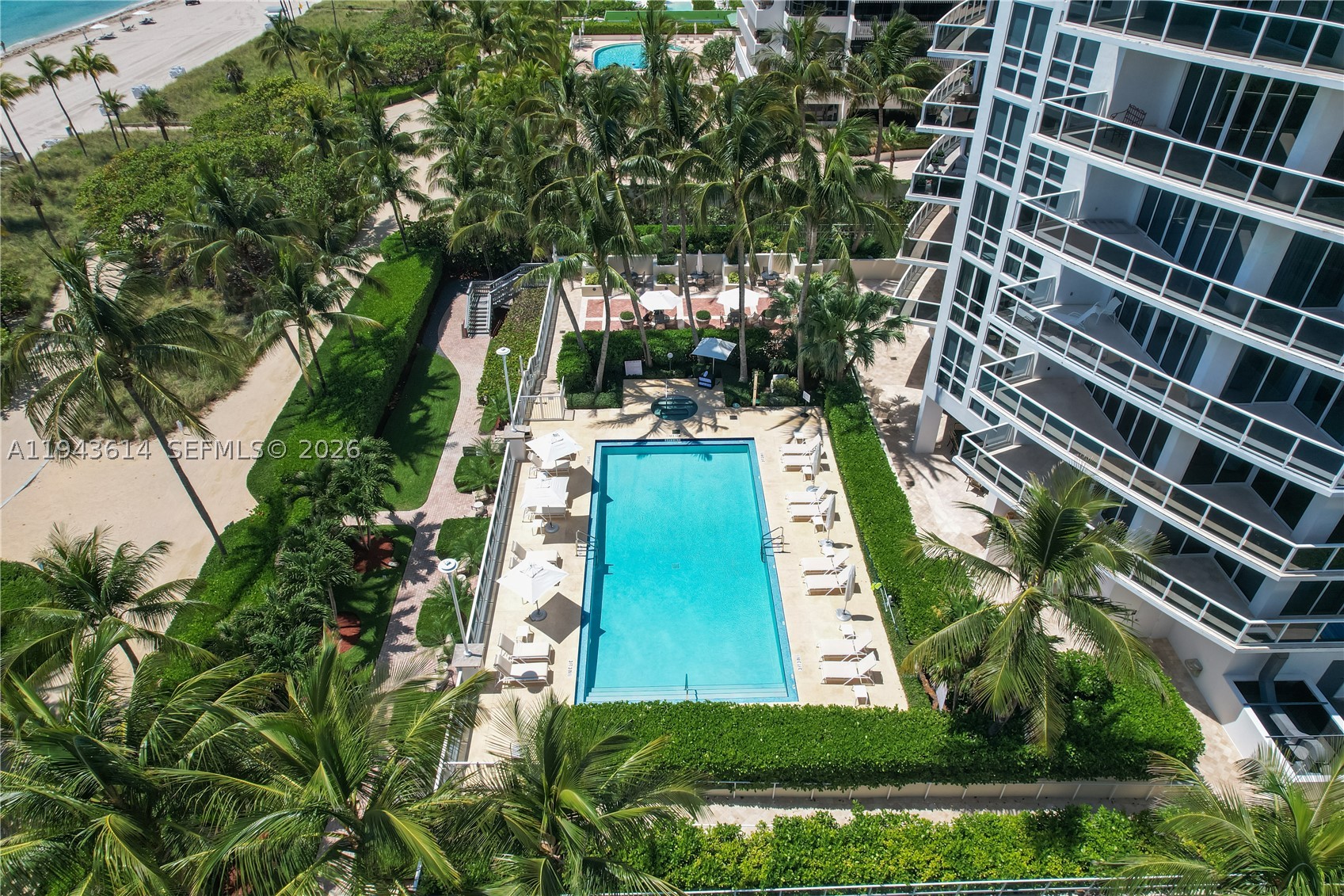 image Bellini Bal Harbour25