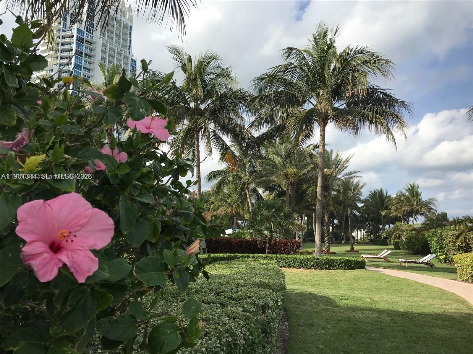 image Continuum South Beach South Tower29