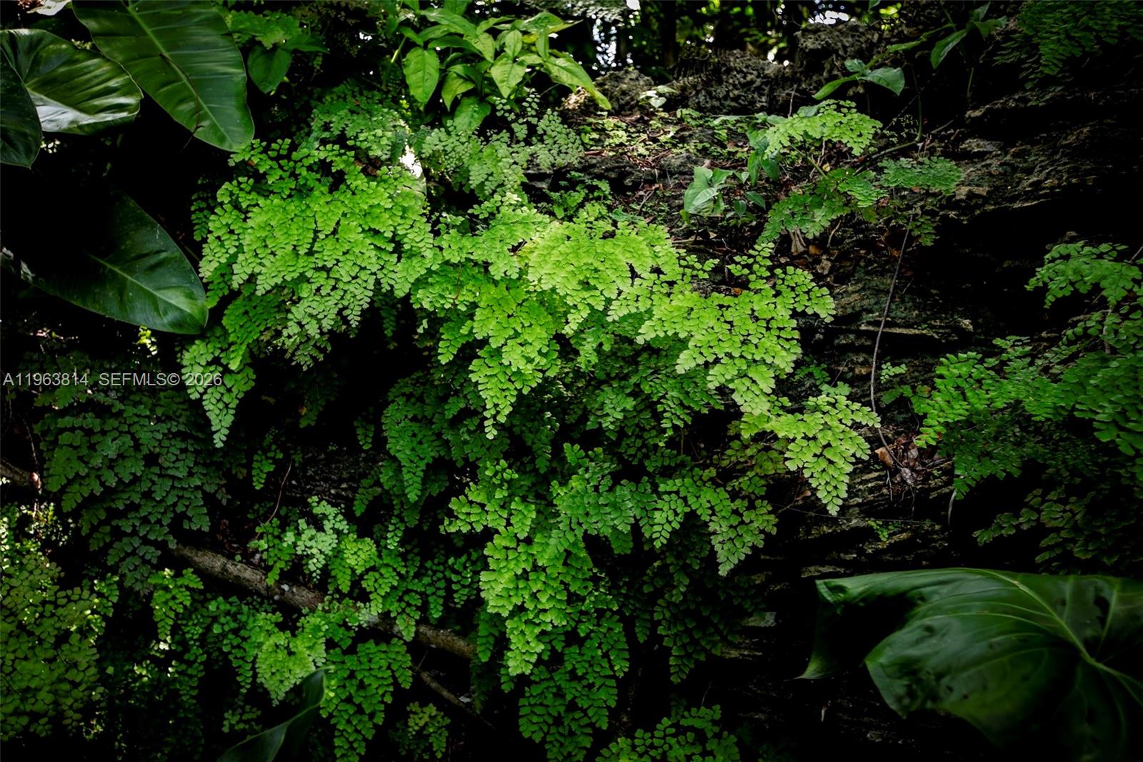 4895 SW 88th St Miami, FL 33156