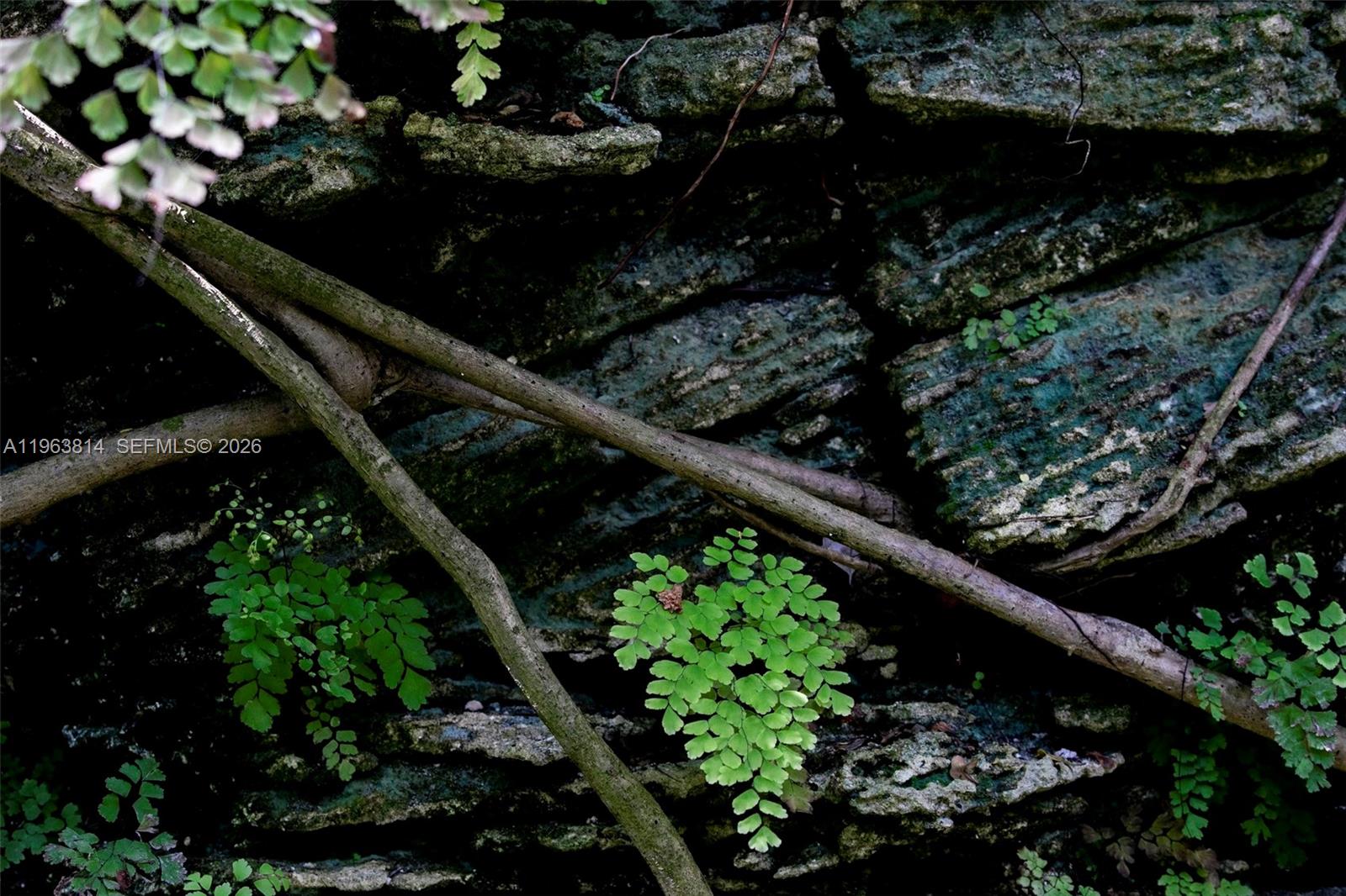 4895 SW 88th St Miami, FL 33156