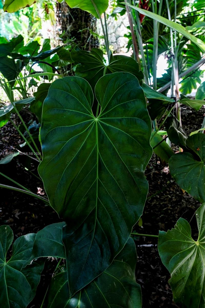 4895 SW 88th St Miami, FL 33156