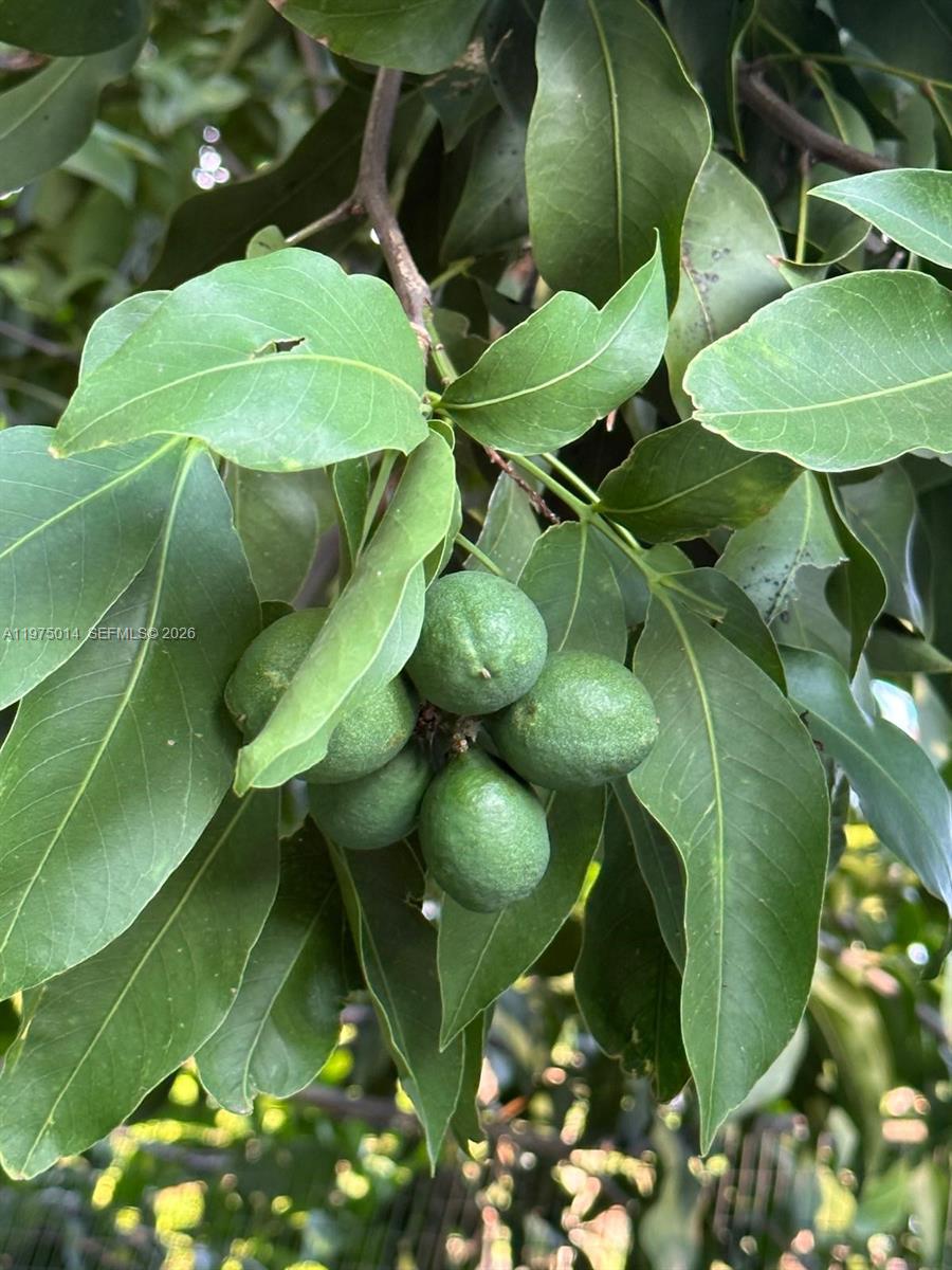 20825 SW 242nd St Homestead, FL 33031