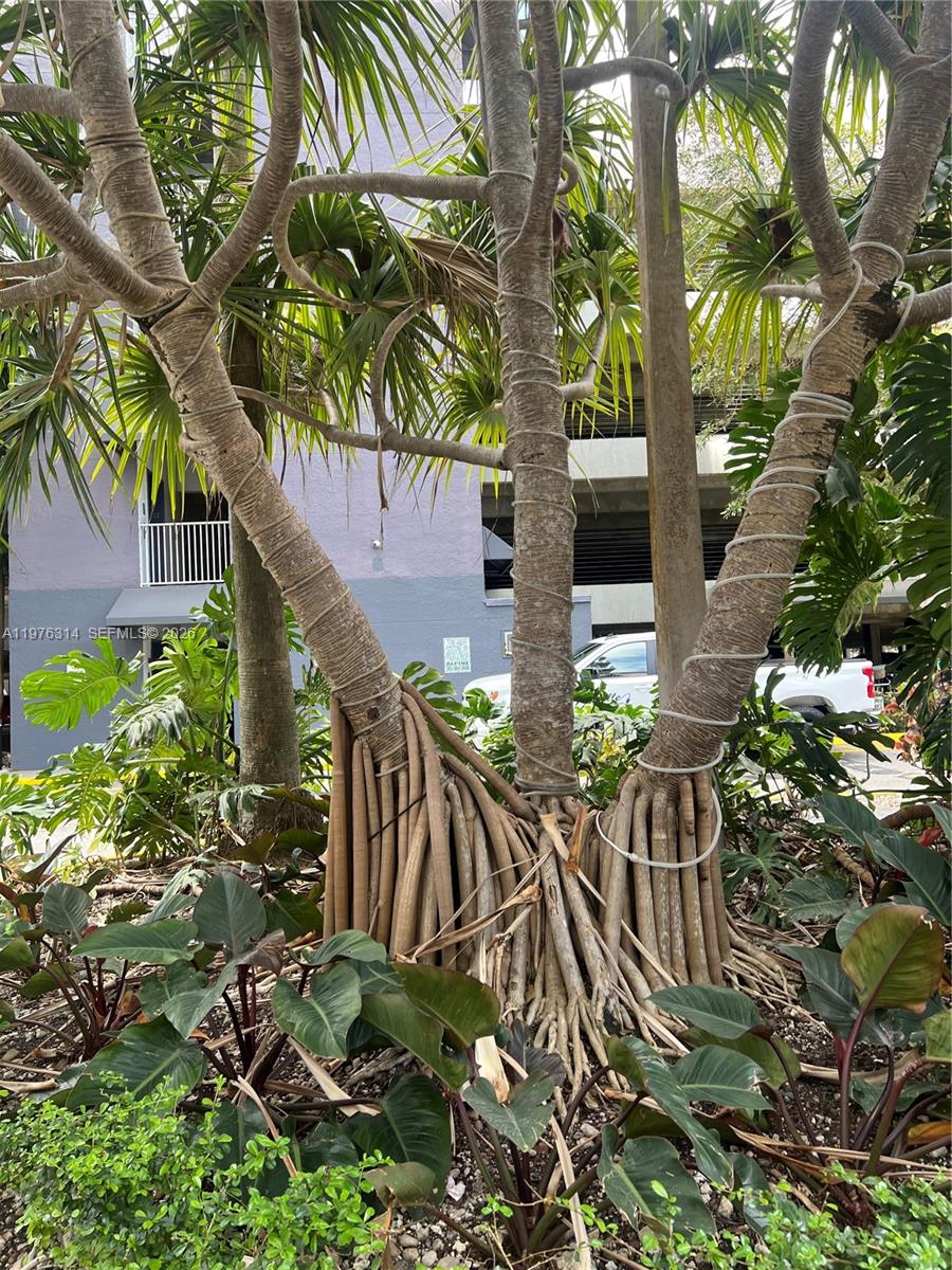 image Madison Downtown21