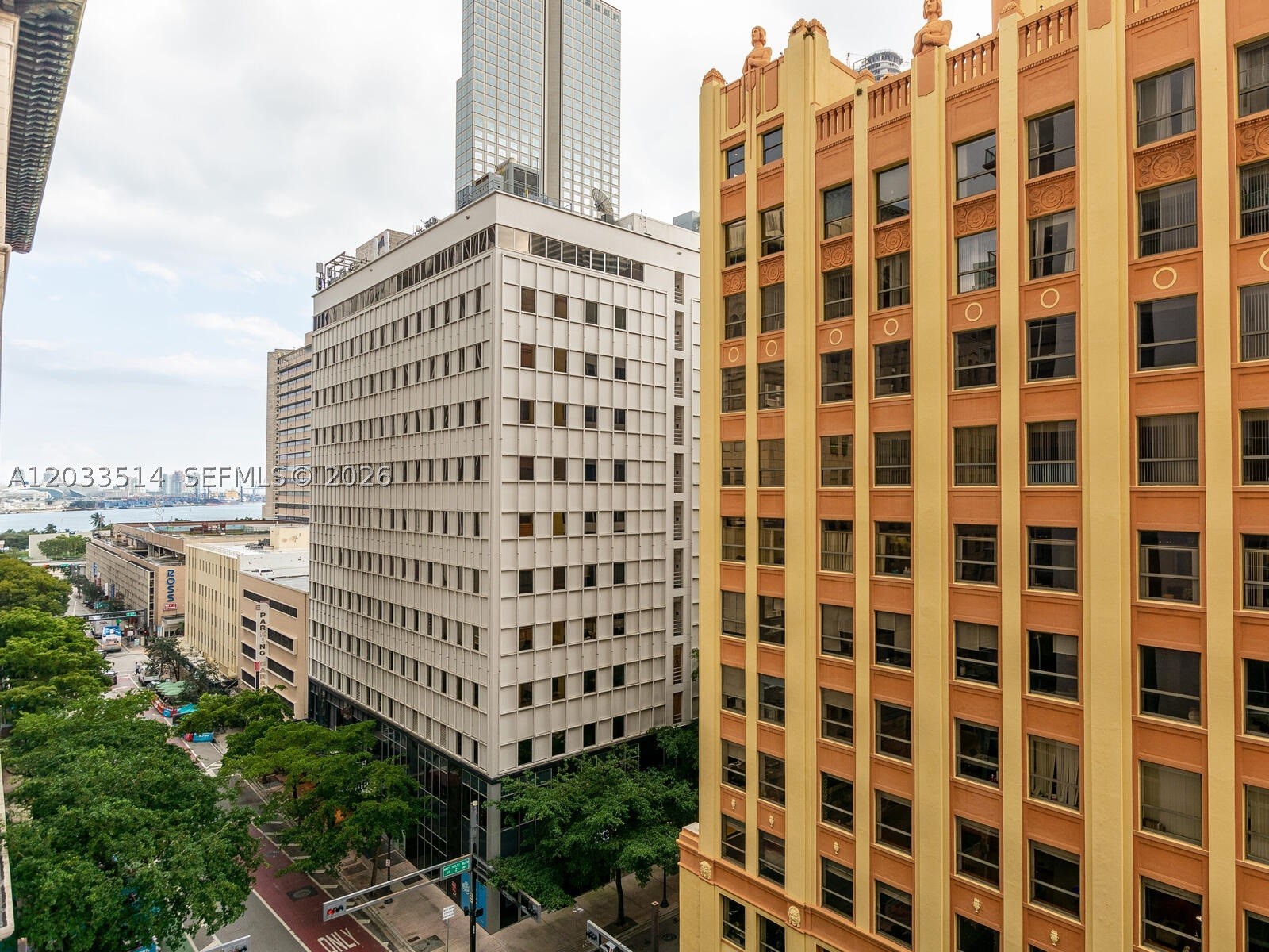 image Centro42