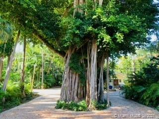 3744 Irvington Ave Miami, FL 33133