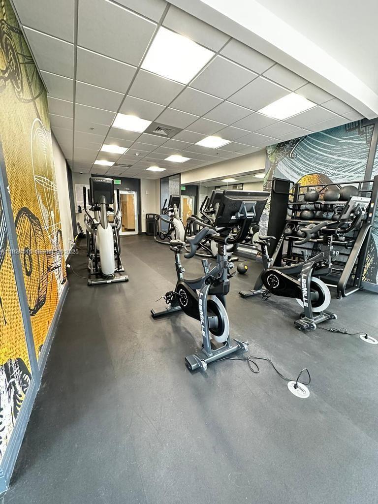 1750 N Bayshore Dr #3109 Miami, FL 33132