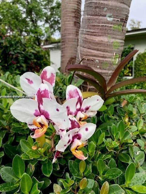 274 NW 92nd St Miami Shores, FL 33150