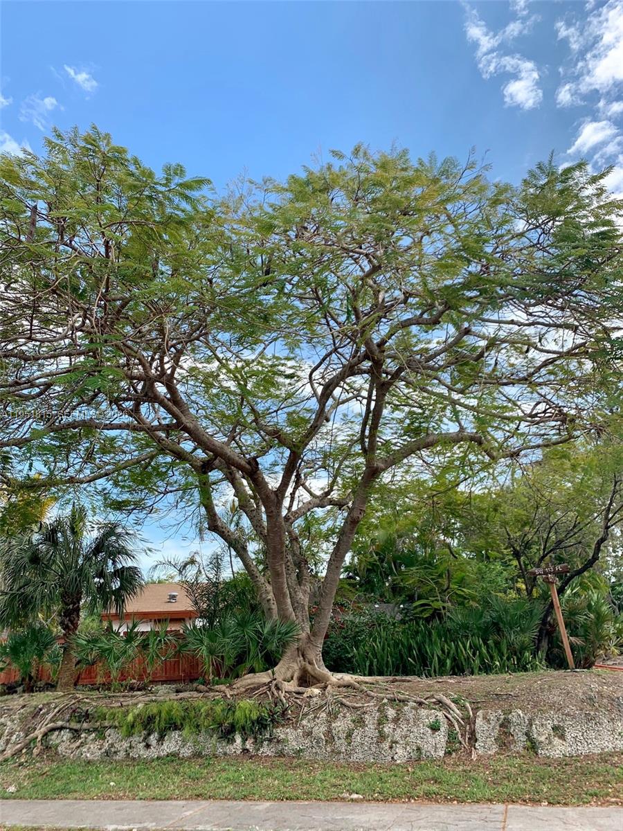 11318 SW 114th Cir Ter Miami, FL 33176