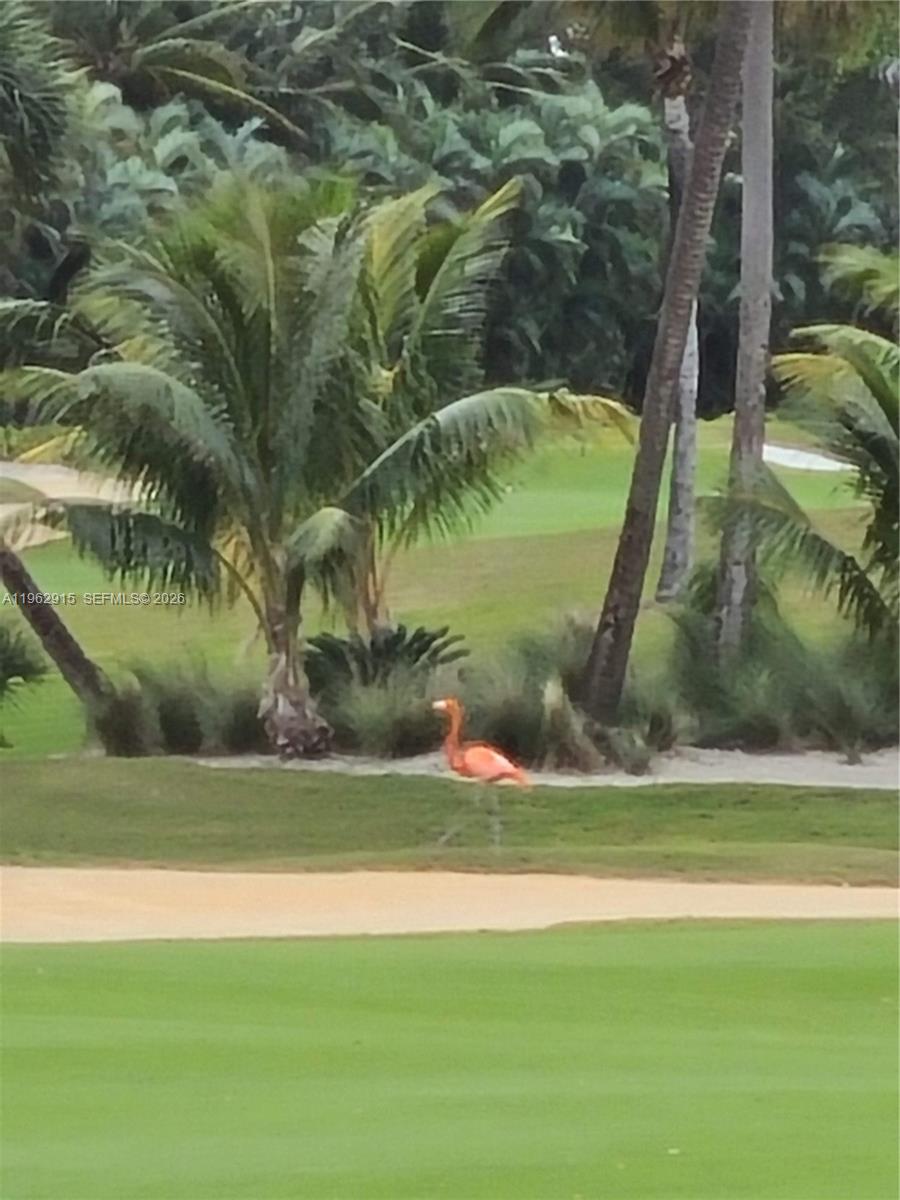 20442 NE 34th Ct #13 Aventura, FL 33180