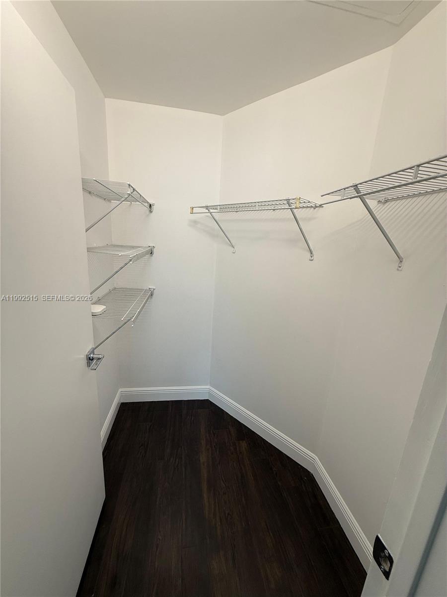 image Quantum on the Bay17