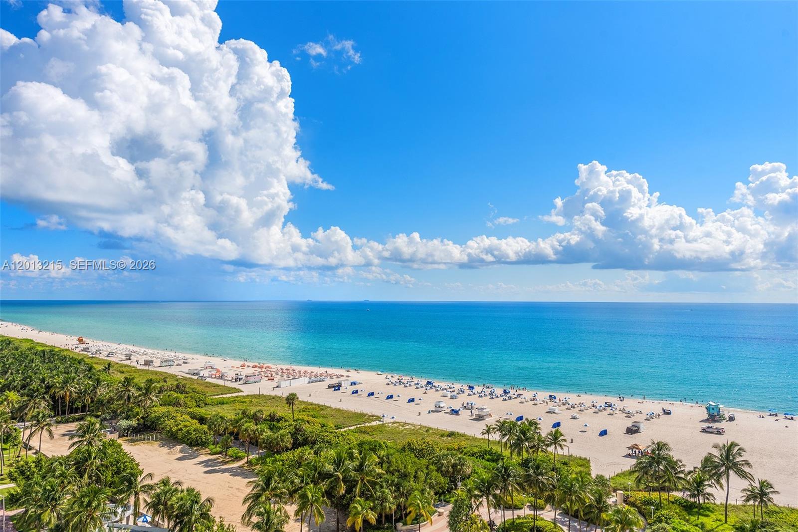 Undisclosed Address Miami Beach, FL 33139