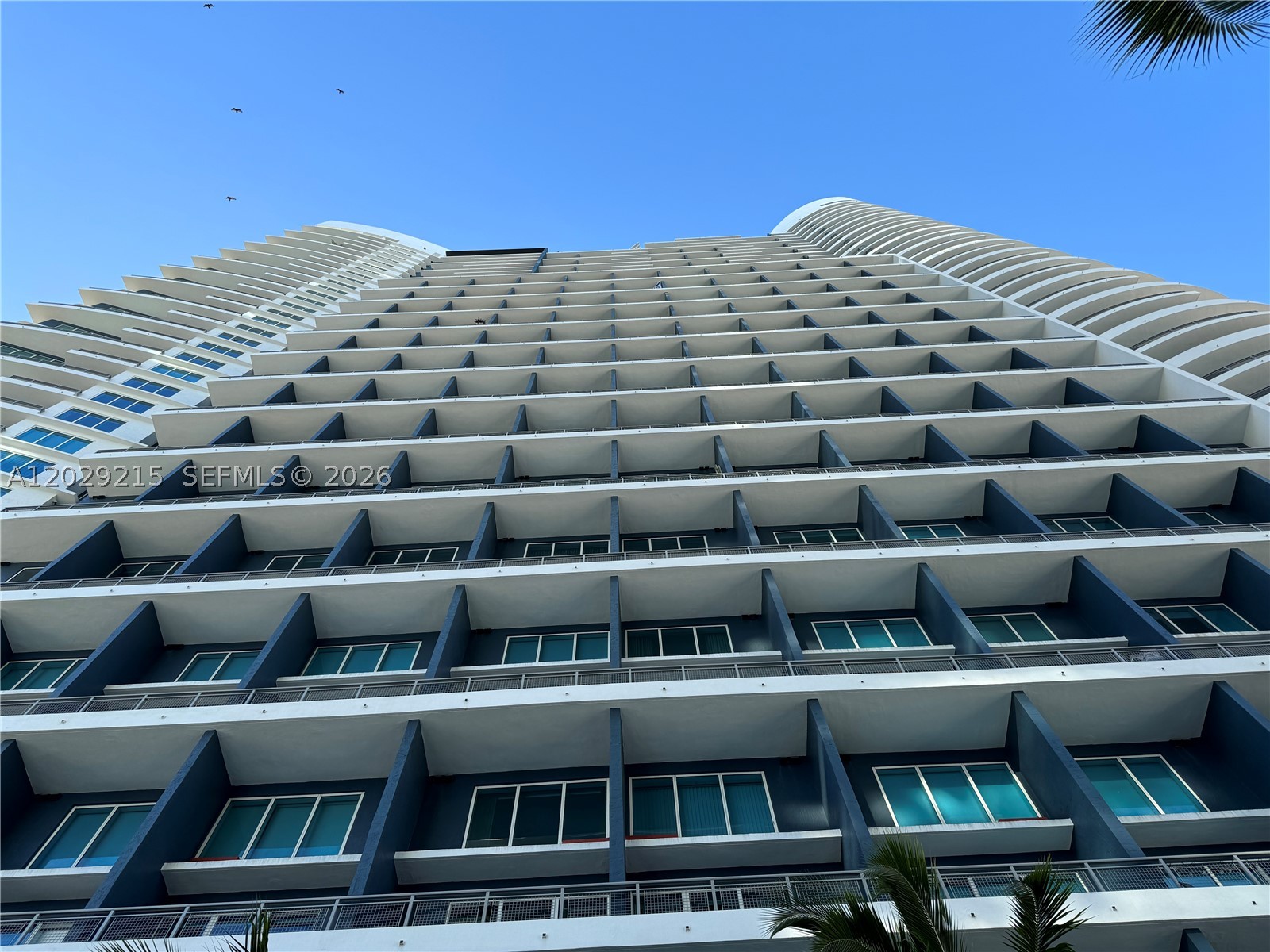 image Infinity at Brickell19