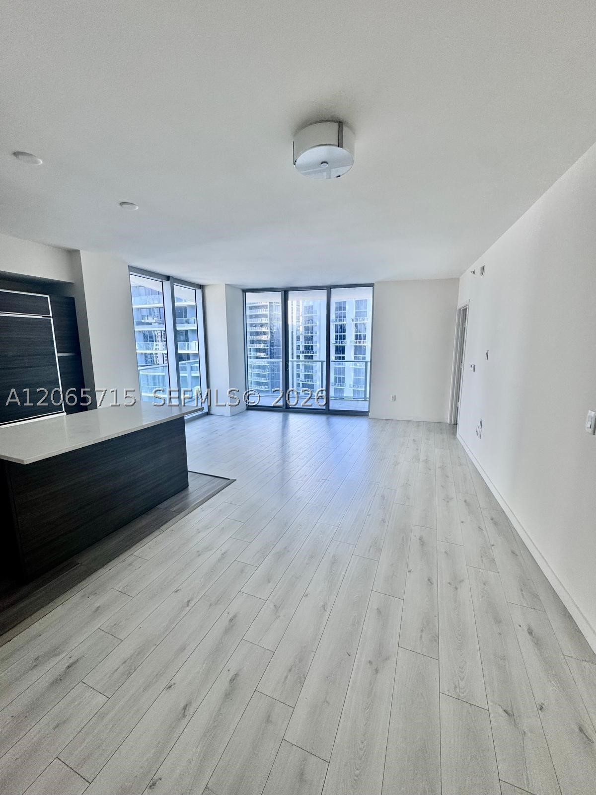 1100 S Miami Ave #3010