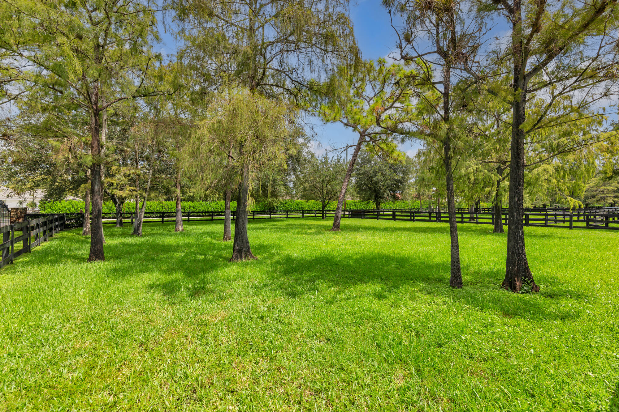14366 Belmont Trace Wellington, FL 33414
