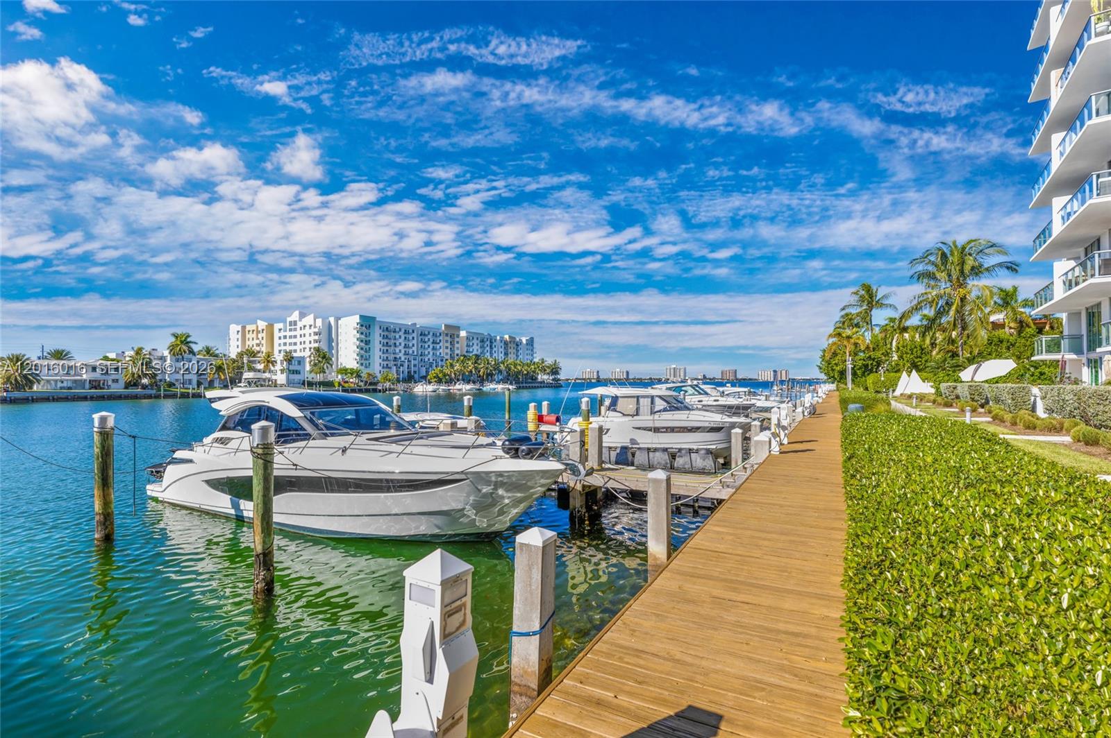 image Eloquence on the Bay36