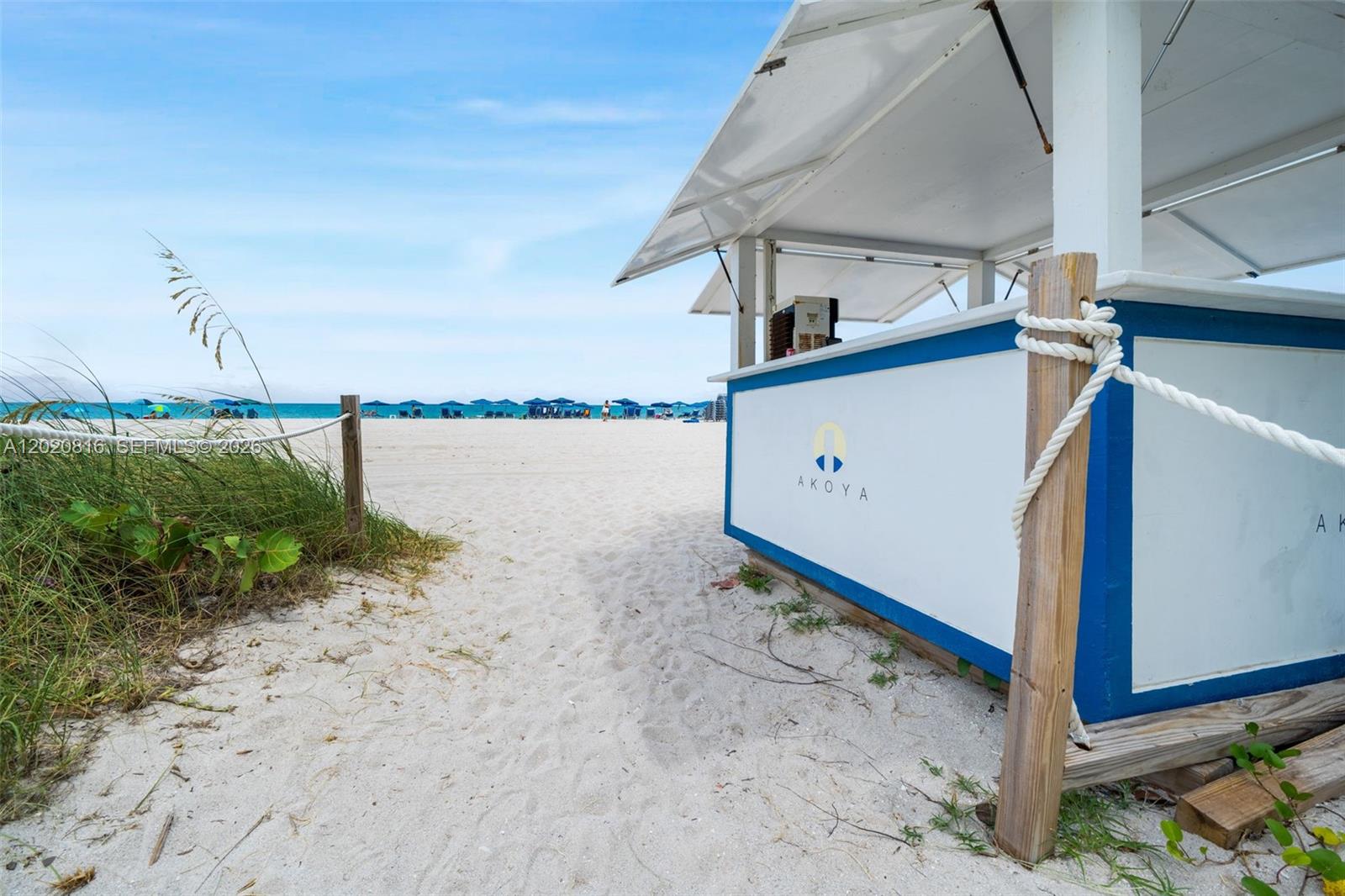6365 Collins Ave #1909 Miami Beach, FL 33141