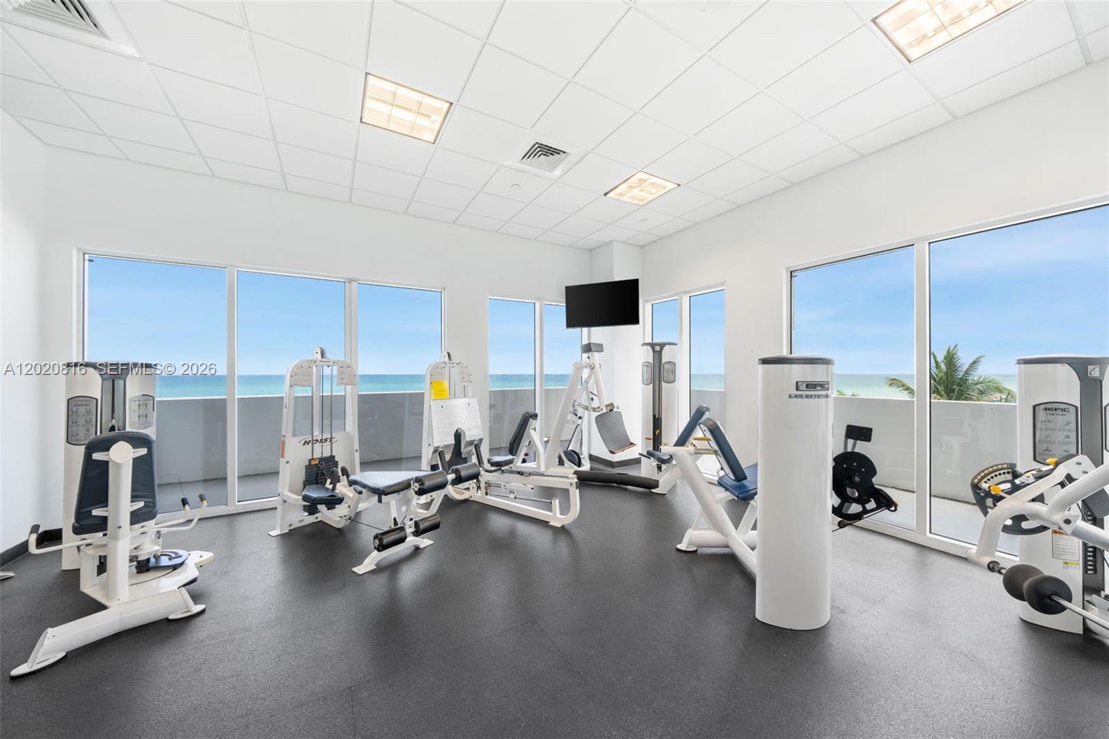 6365 Collins Ave #1909 Miami Beach, FL 33141