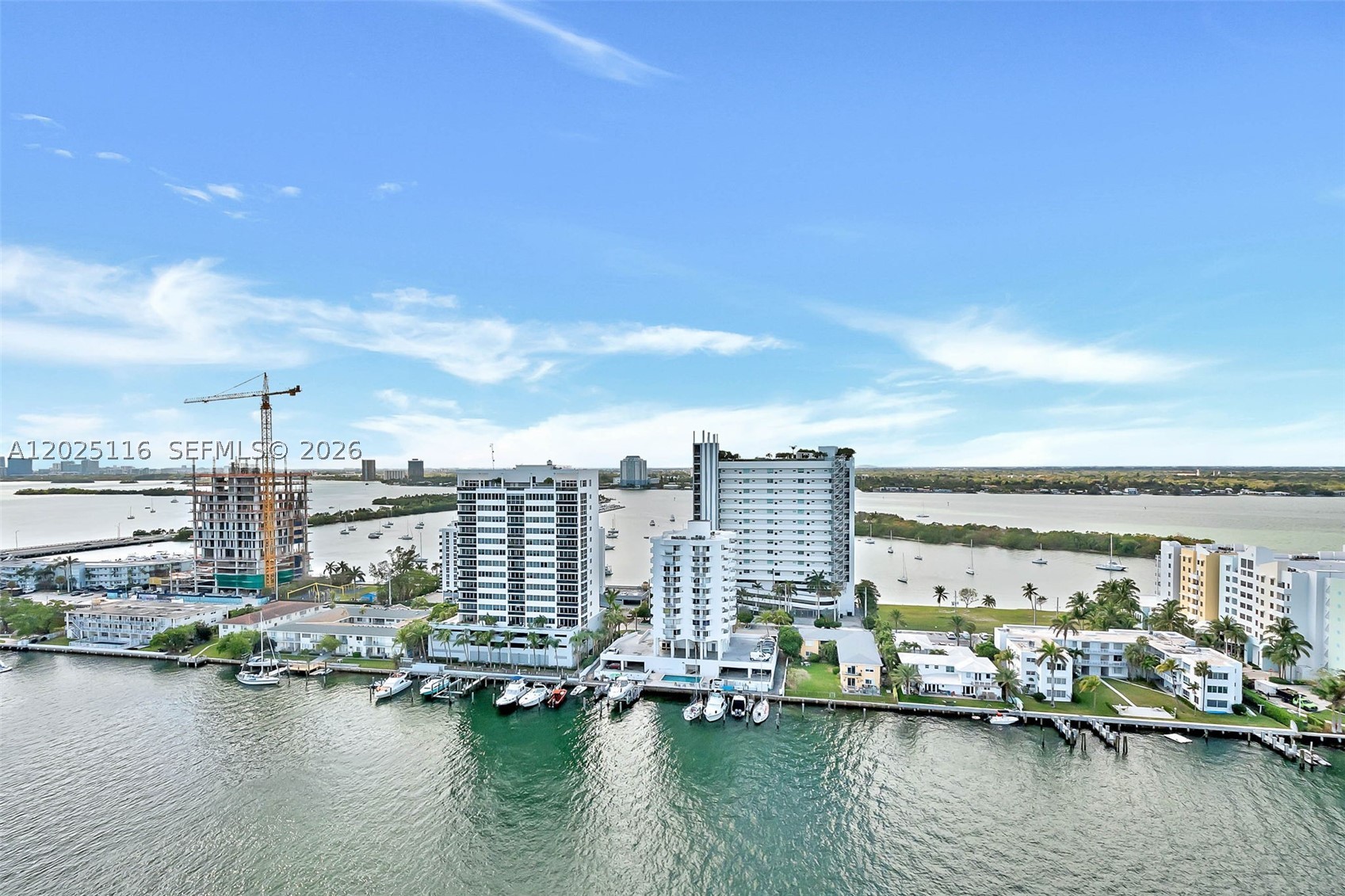 image Eloquence on the Bay41